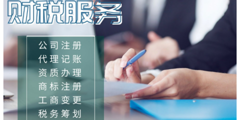 企業(yè)稅務(wù)籌劃與事務(wù)登記代理 成功策略與實踐